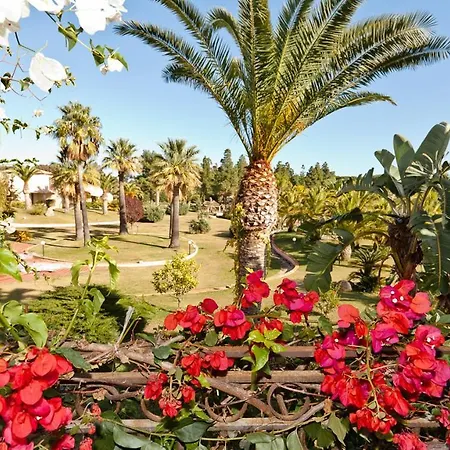 Simple Gem Of Le Dimore Di No1947